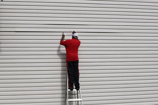 Best Insulated Siding Installation  in Russell Springs, KY